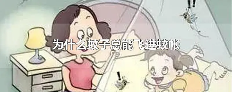 为什么蚊子总能飞进蚊帐