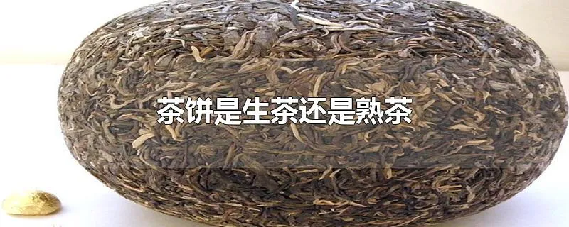 茶饼是生茶还是熟茶