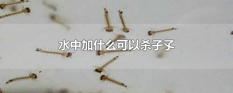 水中加什么可以杀孑孓