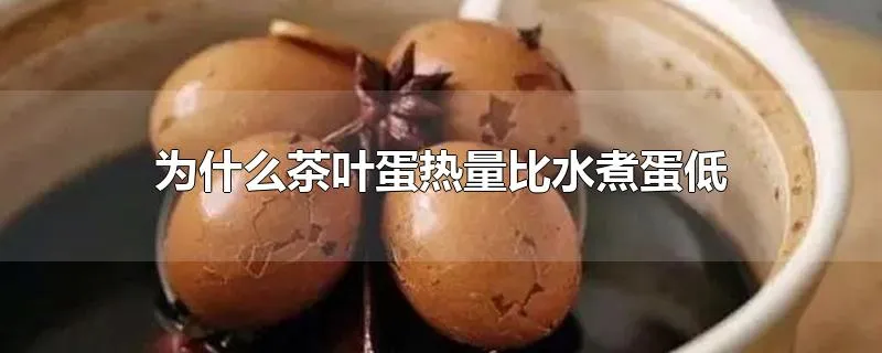 为什么茶叶蛋热量比水煮蛋低