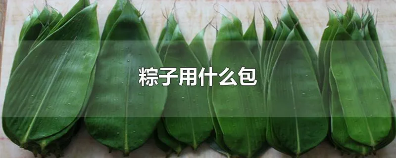 粽子用什么包