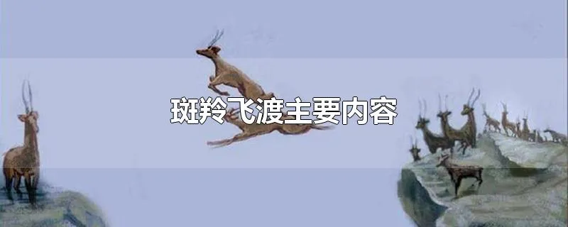 斑羚飞渡主要内容