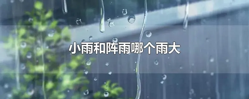 小雨和阵雨哪个雨大