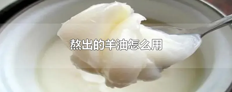 熬出的羊油怎么用