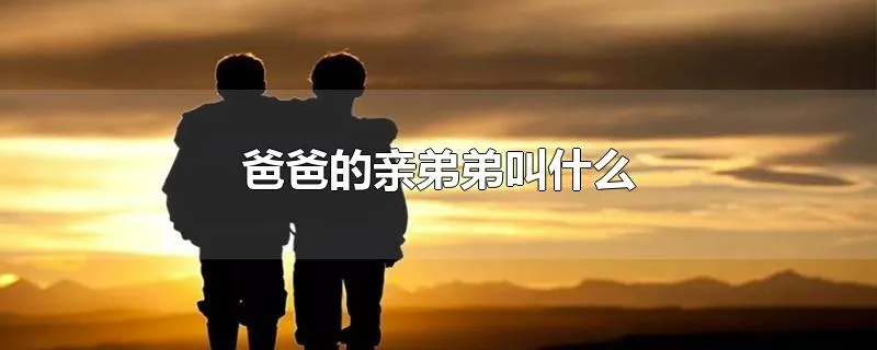 爸爸的亲弟弟叫什么