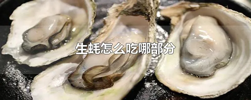 生蚝怎么吃哪部分