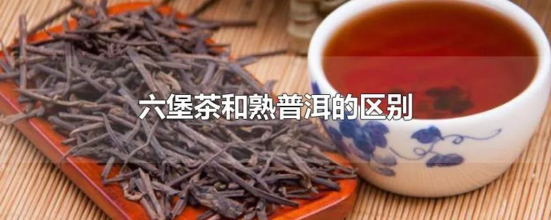 六堡茶和熟普洱的区别