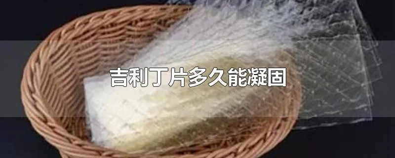 吉利丁片多久能凝固