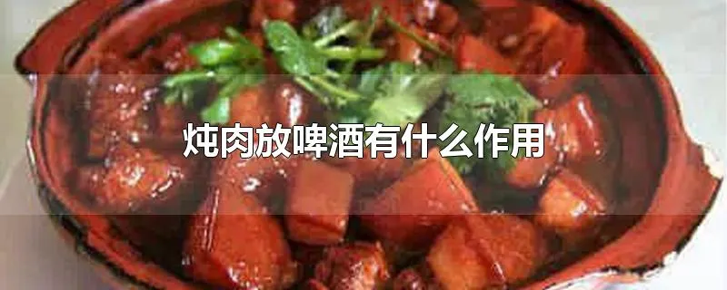 炖肉放啤酒有什么作用