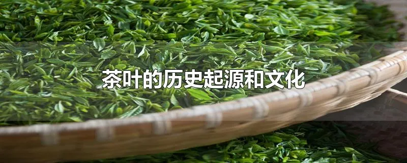 茶叶的历史起源和文化