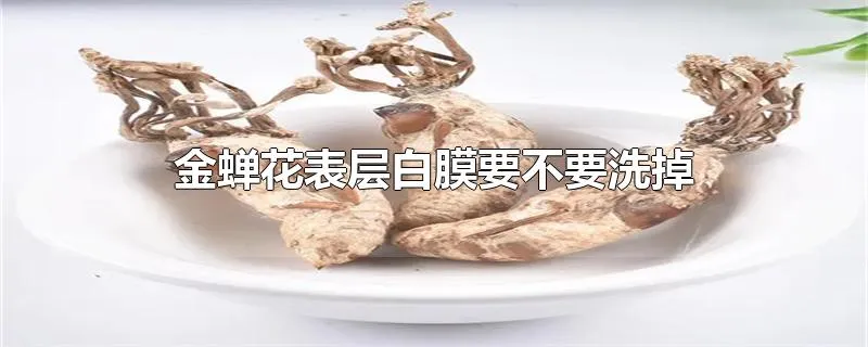 金蝉花表层白膜要不要洗掉