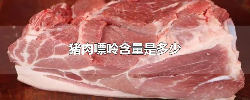 猪肉嘌呤含量是多少