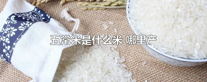 五常米是什么米 哪里产
