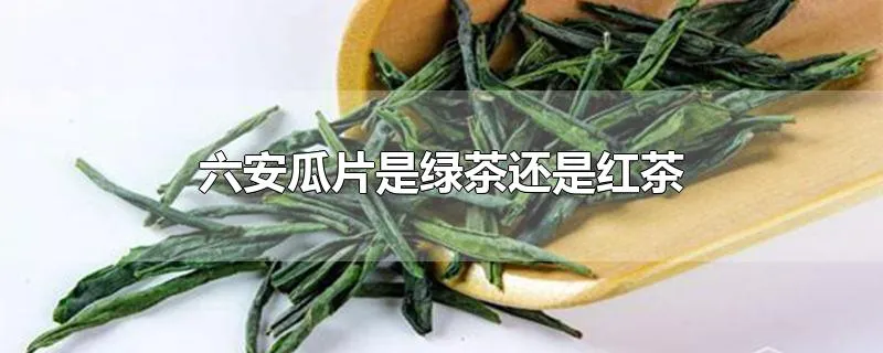 六安瓜片是绿茶还是红茶