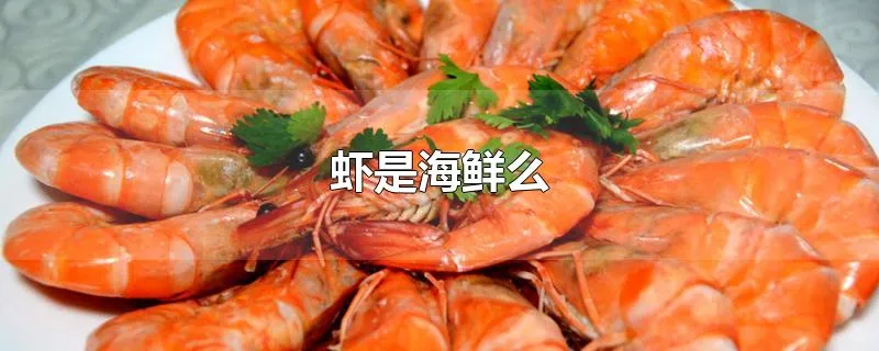 虾是海鲜么