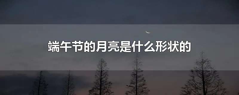 端午节的月亮是什么形状的