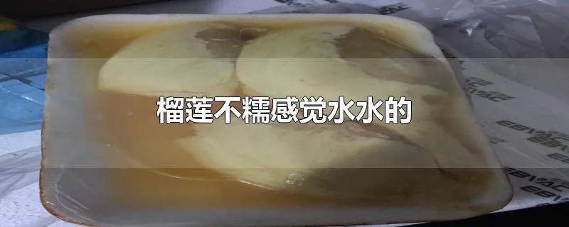 榴莲不糯感觉水水的