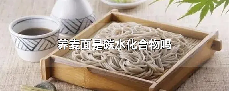 荞麦面是碳水化合物吗