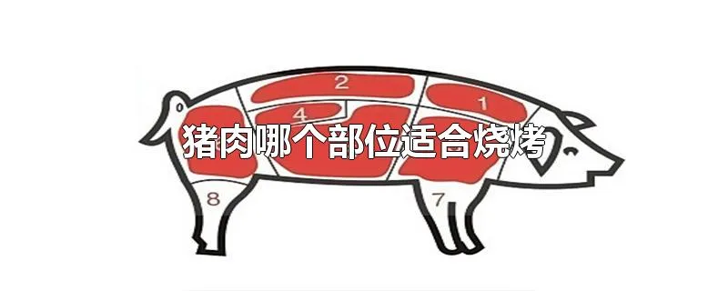 猪肉哪个部位适合烧烤