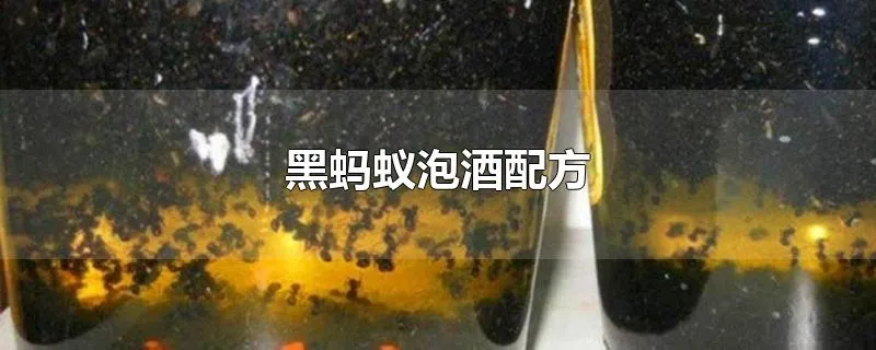 黑蚂蚁泡酒配方