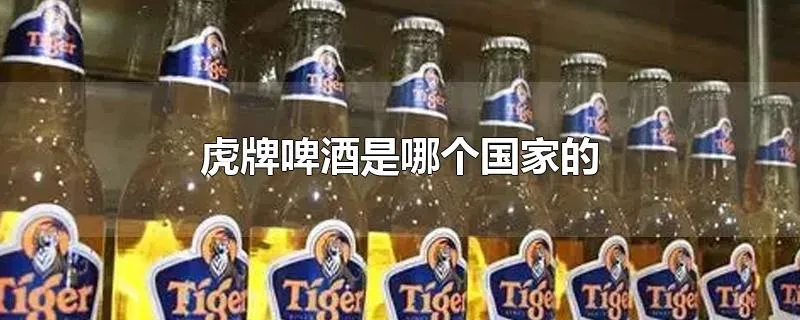 虎牌啤酒是哪个国家的