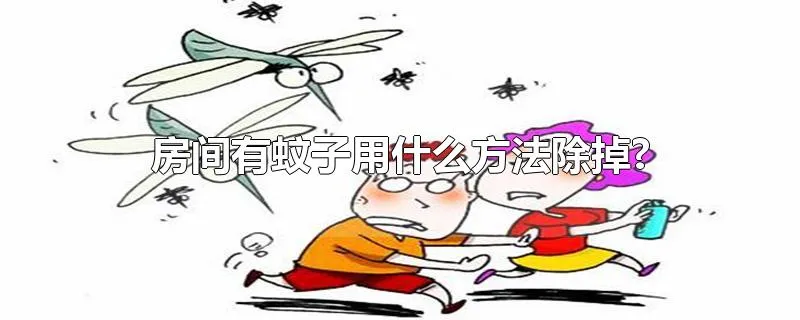 房间有蚊子用什么方法除掉?