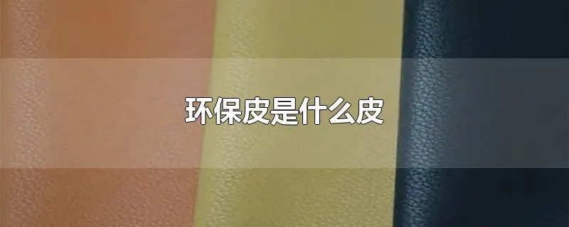 环保皮是什么皮