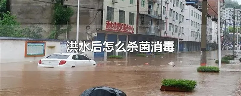 洪水后怎么杀菌消毒