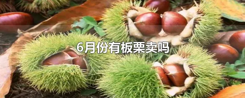 6月份有板栗卖吗