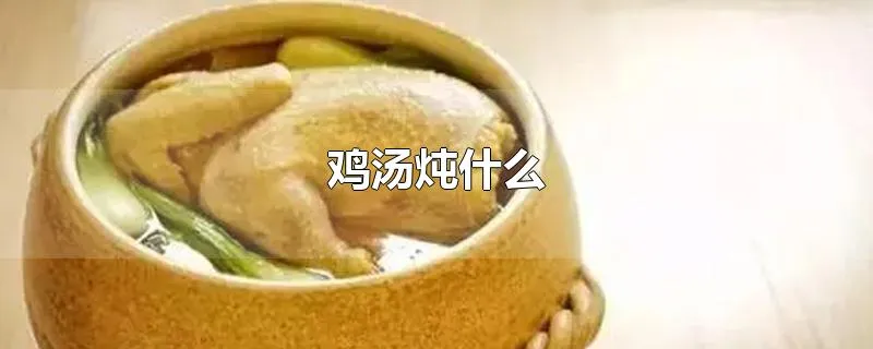 鸡汤炖什么