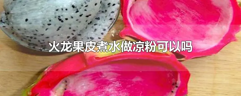 火龙果皮煮水做凉粉可以吗