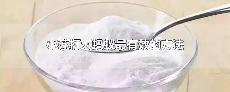 小苏打灭蚂蚁最有效的方法