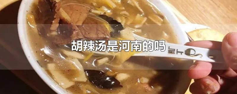 胡辣汤是河南的吗