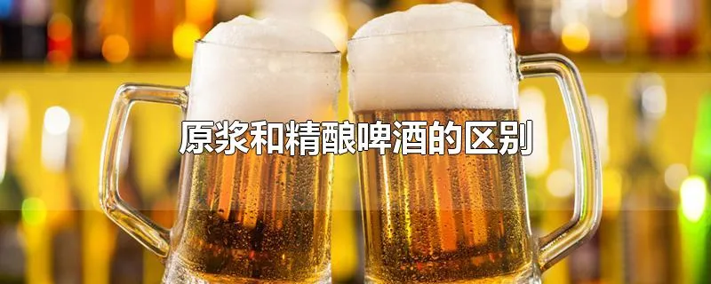 原浆和精酿啤酒的区别