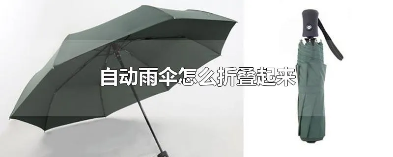 自动雨伞怎么折叠起来