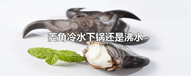 菱角冷水下锅还是沸水