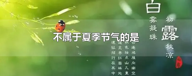 不属于夏季节气的是