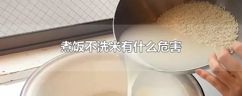 煮饭不洗米有什么危害