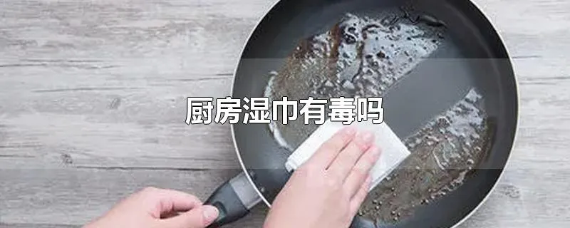 厨房湿巾有毒吗