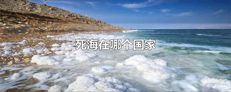 死海在哪个国家