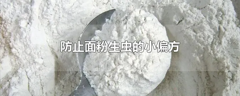 防止面粉生虫的小偏方