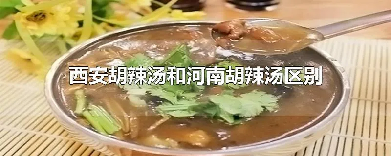 西安胡辣汤和河南胡辣汤区别