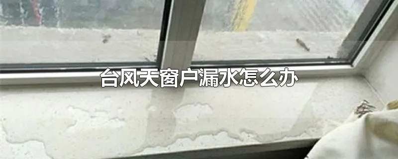 台风天窗户漏水怎么办