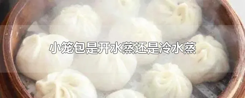 小笼包是开水蒸还是冷水蒸