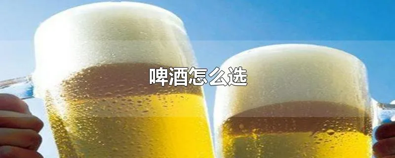 啤酒怎么选