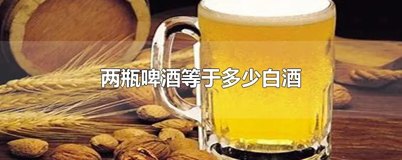 两瓶啤酒等于多少白酒