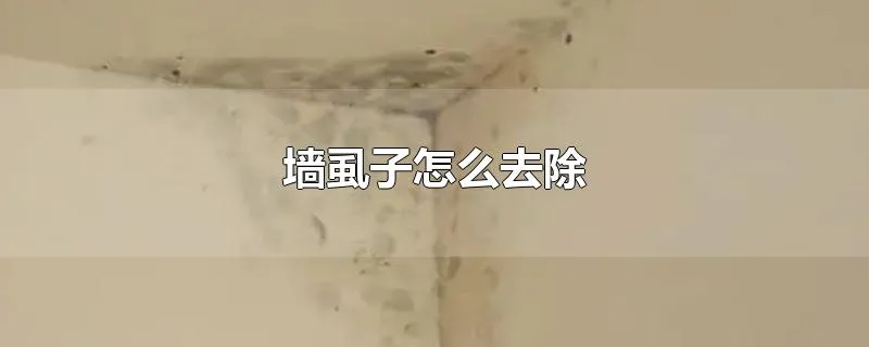 墙虱子怎么去除