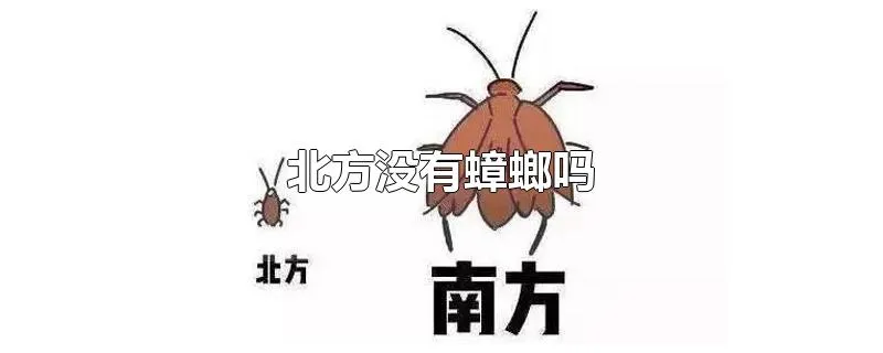 北方没有蟑螂吗