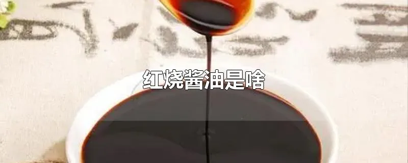 红烧酱油是啥