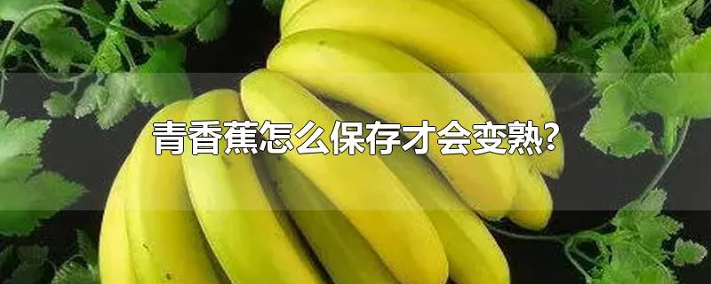 青香蕉怎么保存才会变熟?